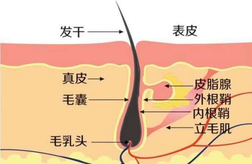 360截图20230619114437282.jpg