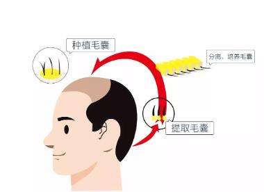 微信截图_20230627111009.jpg