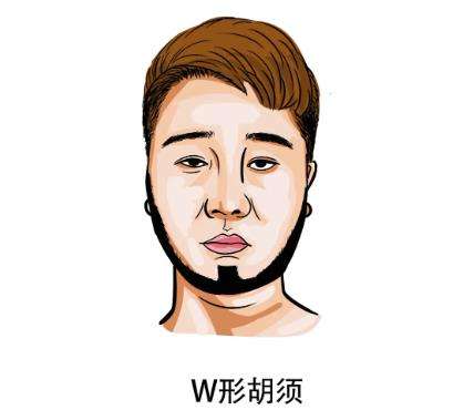胡须种植1.jpg
