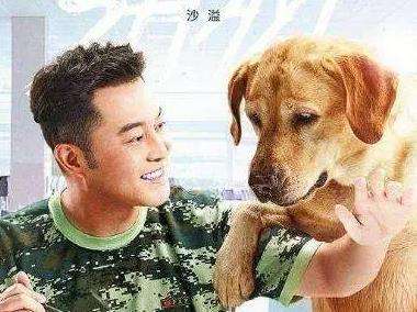 微信截图_20230705143820.jpg