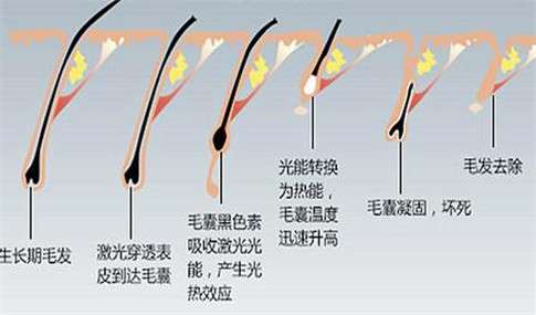 QQ截图20200904112504.jpg