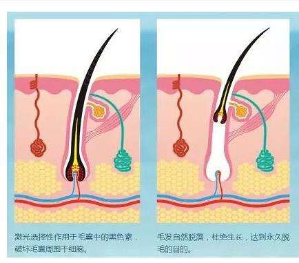 微信截图_20230328085108.jpg
