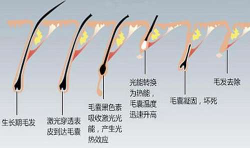 360截图20230731120415274.jpg