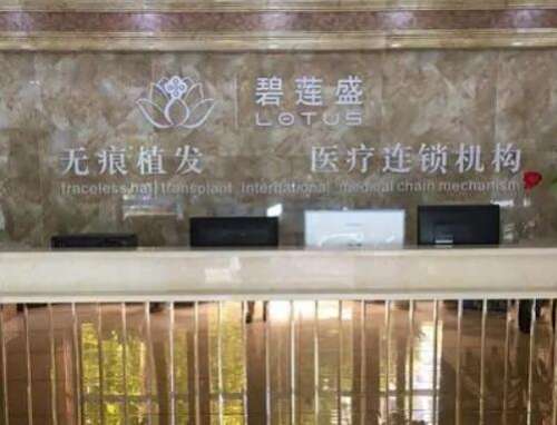 碧莲盛植发收费标准2023全新发布！医院价格表、技术点评+医生简介一览