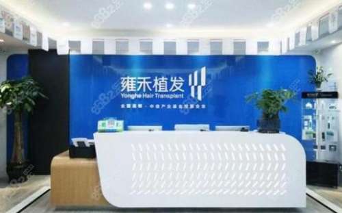 雍禾为什么比碧莲盛贵？口碑、技术横评，速查收！