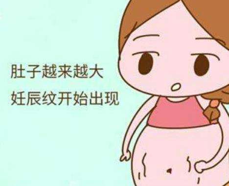 妊娠纹4.jpg