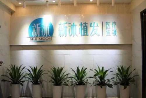 重庆新沐植发效果怎么样？医生简介_手术价格费用查收