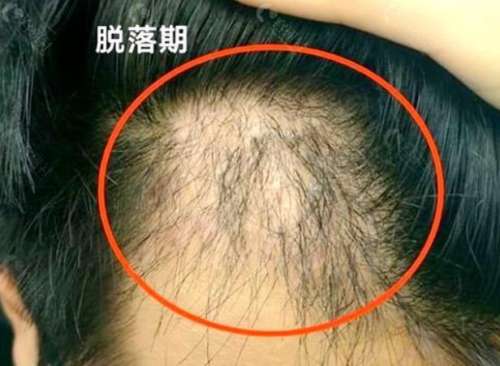 360截图20231008180126113.jpg