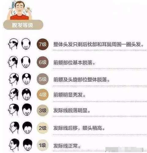 微信截图_20231116173917.jpg
