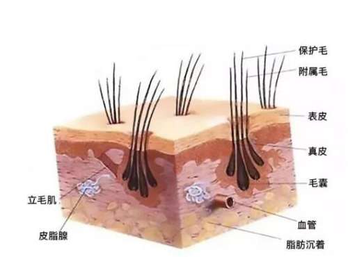 QQ截图20231207143943.jpg