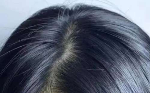 微信截图_20231207114647.jpg