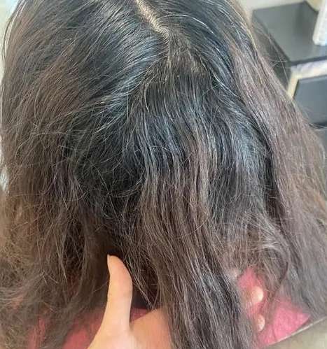 微信截图_20231212114006.jpg