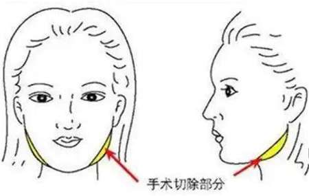 微信截图_20220417195931.jpg