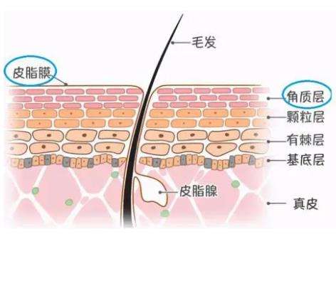 果酸换肤3.jpg
