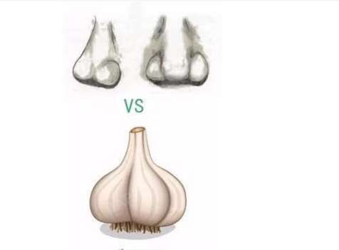 矫正大蒜鼻1.jpg