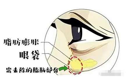 微信截图_20220418191840.jpg
