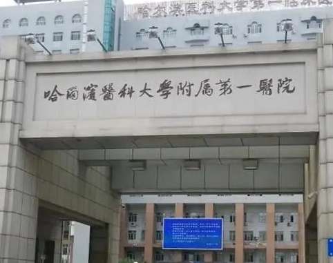 微信截图_20240409174504.jpg