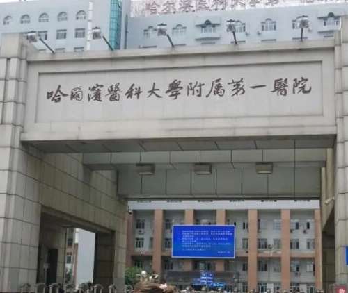 微信截图_20240411174728.jpg